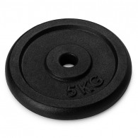 Набор чугунных окрашенных дисков Voitto 5 кг (2 шт)